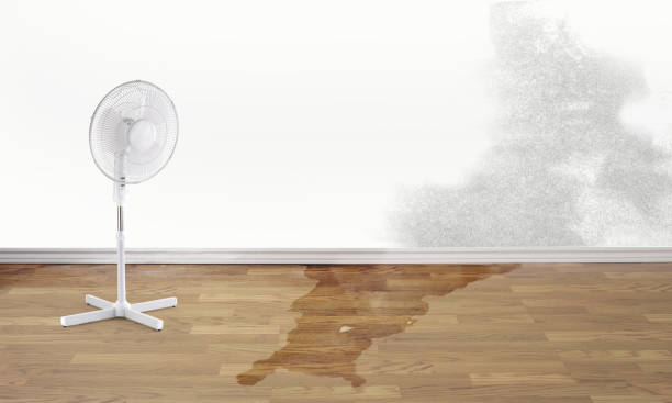 Best Fire Damage Restoration  in Warson Woods, MO