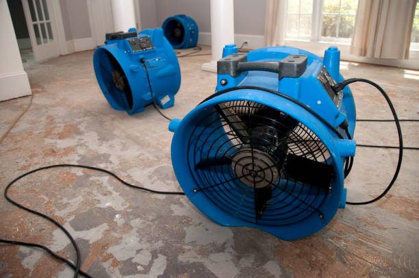 Best Water damage restoration near me  in Warson Woods, MO