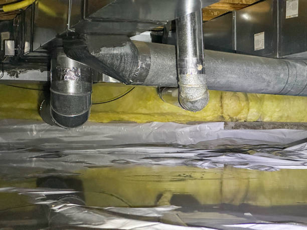 Best Local water damage restoration  in Warson Woods, MO