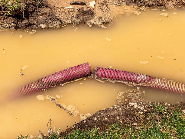 Best Sewage cleanup and water damage restoration  in Warson Woods, MO